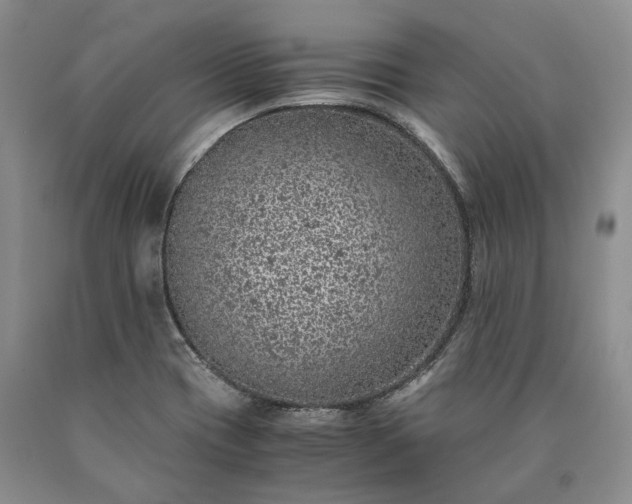 X0000090451417200707201304