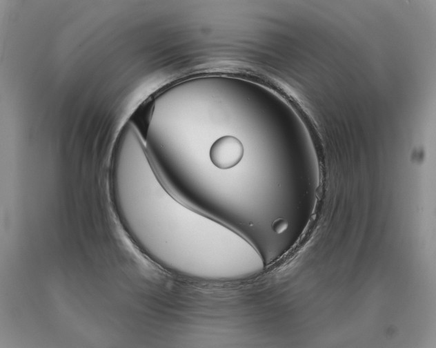 X0000090451418200707201304