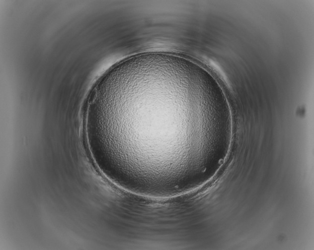 X0000090451419200707201304