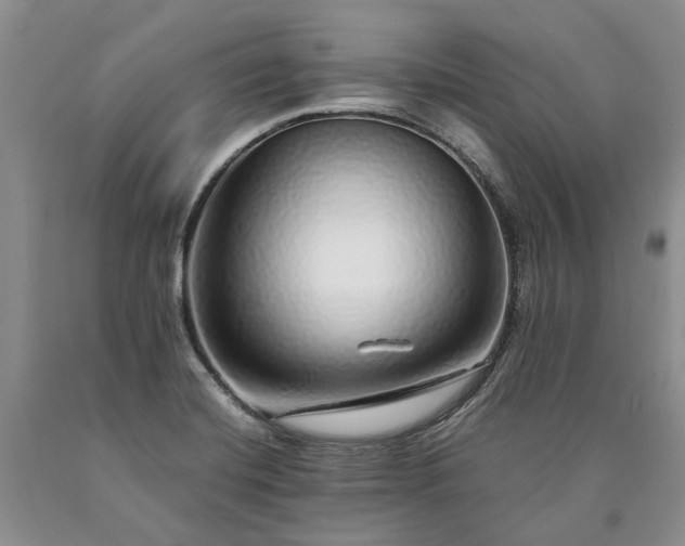 X0000090451420200707201304