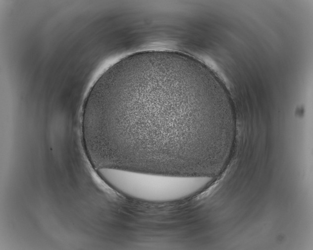 X0000090451421200707201304