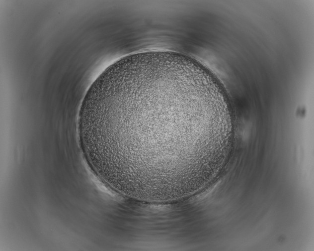 X0000090451423200707201304