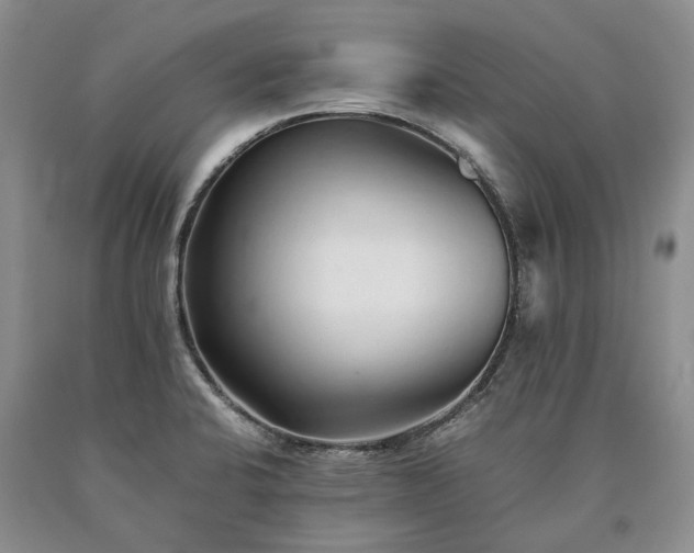 X0000090451424200707201304