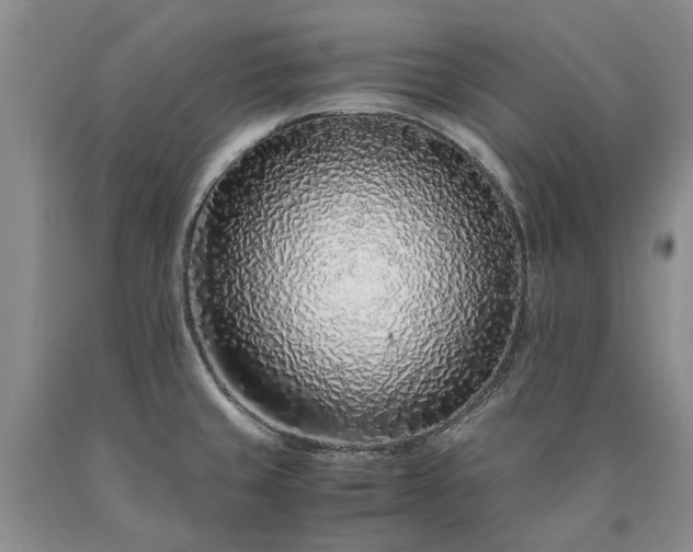 X0000090451429200707201305