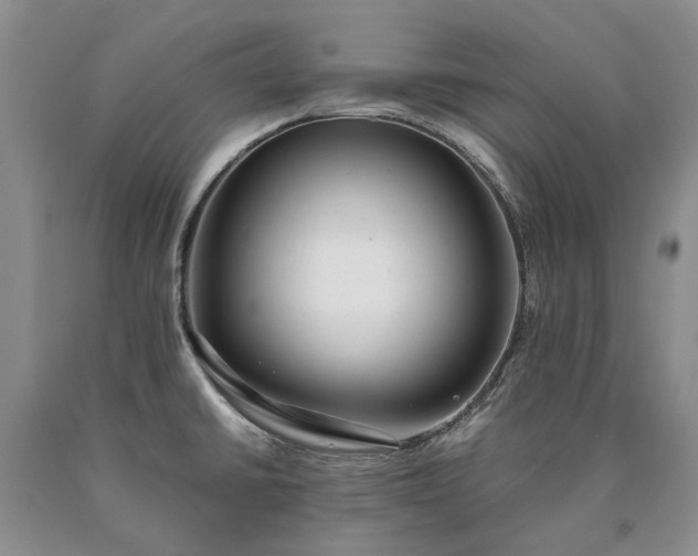 X0000090451430200707201305