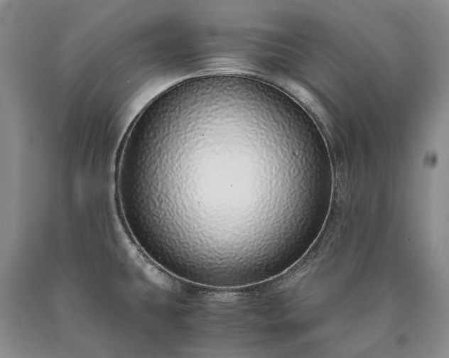 X0000090451431200707201305