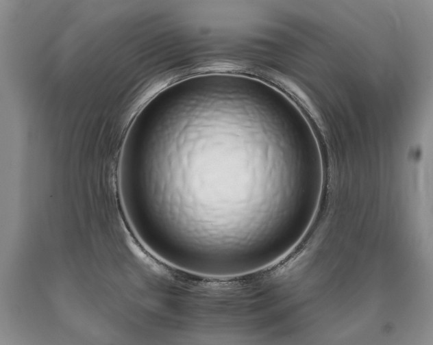 X0000090451433200707201305