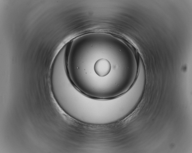 X0000090451434200707201305