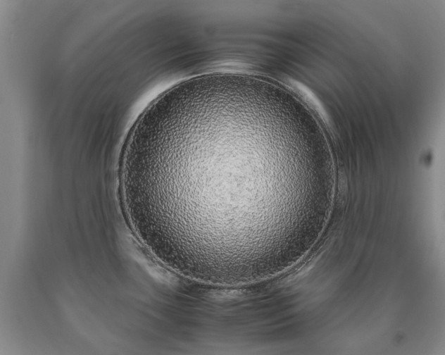 X0000090451435200707201305