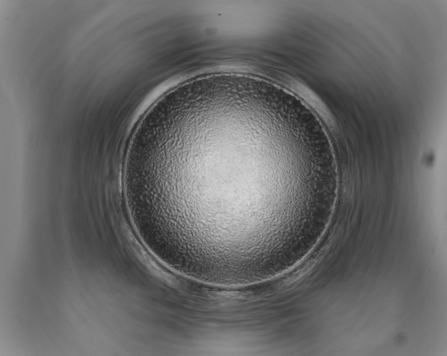 X0000090451436200707201305