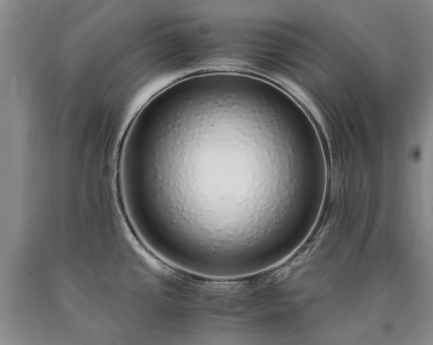 X0000090451437200707201305