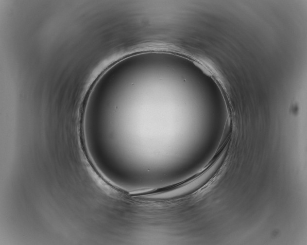 X0000090451438200707201305