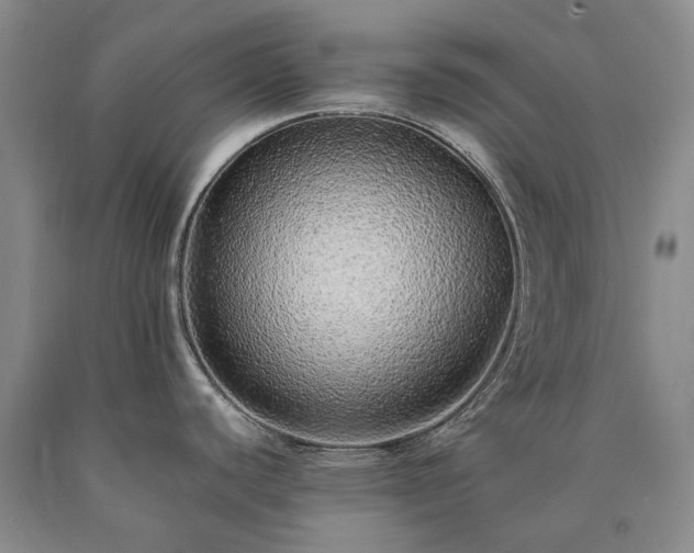 X0000090451440200707201305