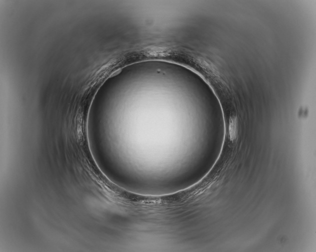 X0000090451444200707201304
