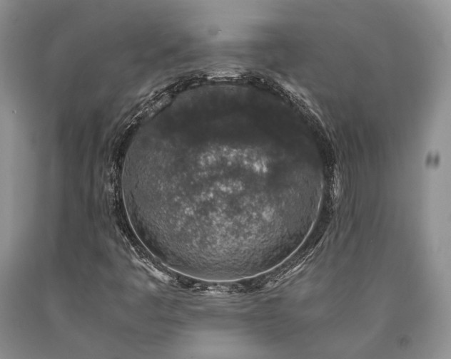 X0000090451445200707201304