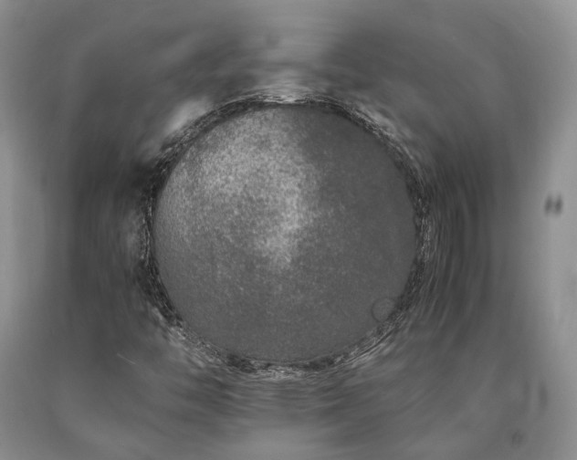 X0000090451446200707201304