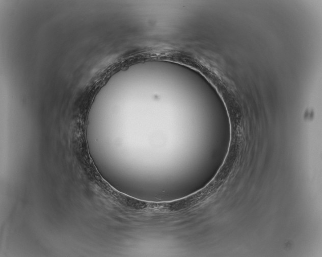 X0000090451447200707201304