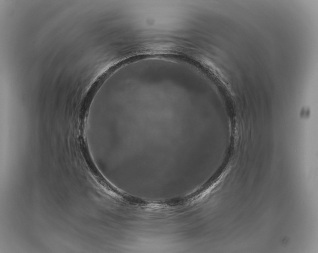X0000090451449200707201304