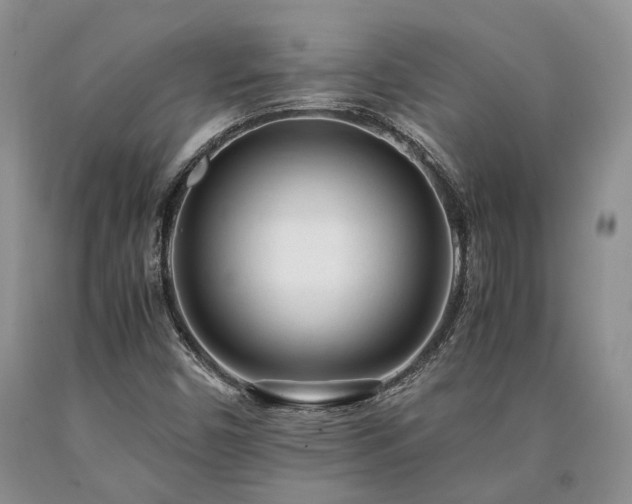 X0000090451450200707201304