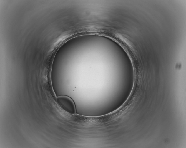 X0000090451451200707201304