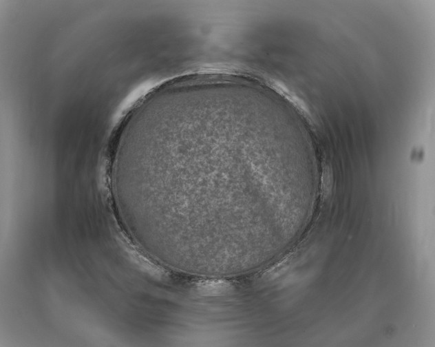 X0000090451454200707201304