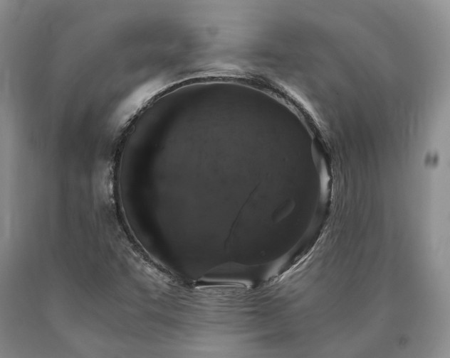 X0000090451455200707201304