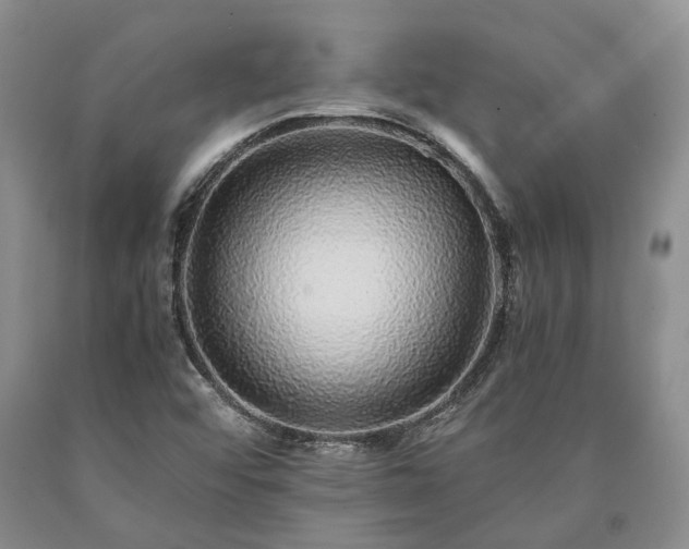 X0000090451456200707201304