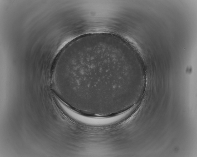 X0000090451457200707201304