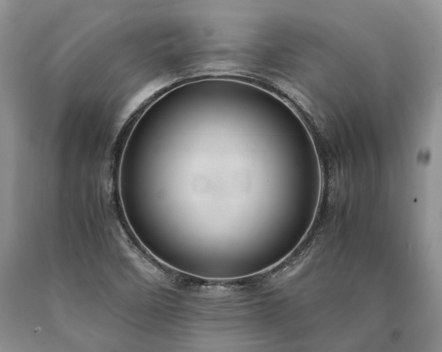 X0000090451458200707201304