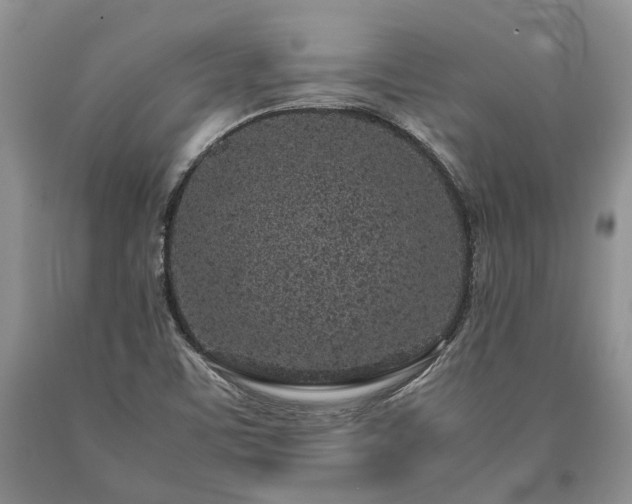 X0000090451459200707201304