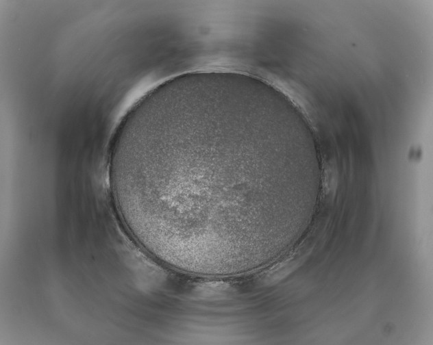 X0000090451462200707201304
