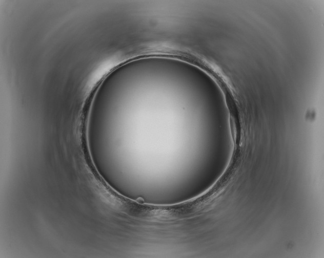 X0000090451463200707201304