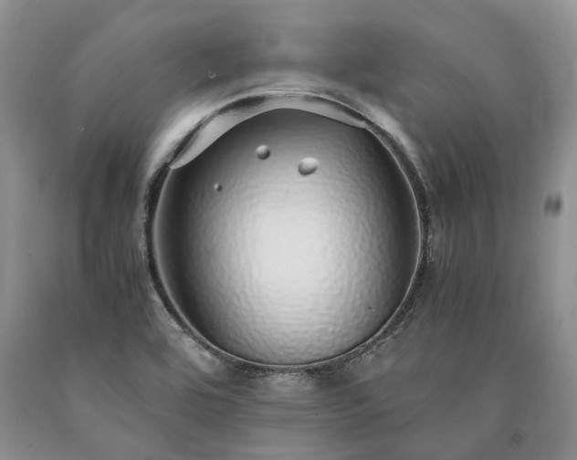 X0000090451464200707201304