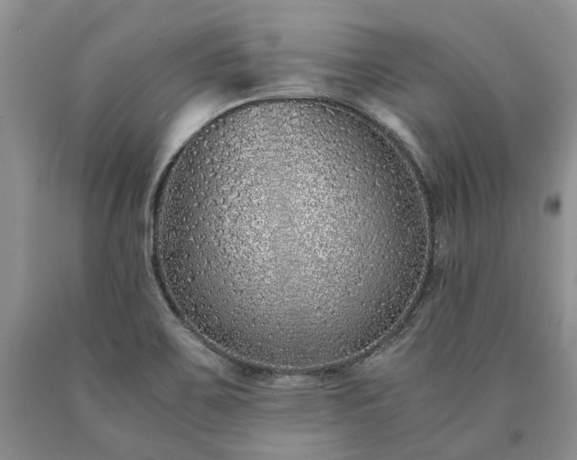 X0000090451467200707201304