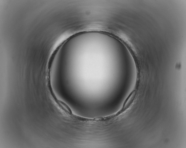 X0000090451469200707201304