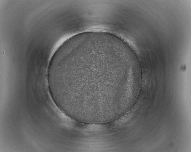 X0000090451470200707201304