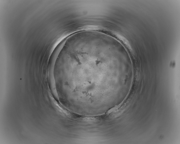X0000090451473200707201304