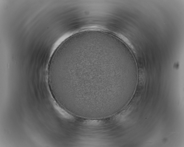X0000090451474200707201304