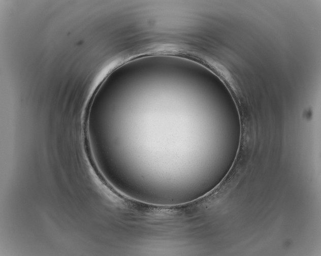 X0000090451475200707201304