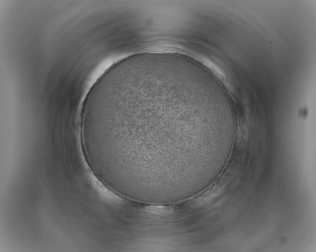 X0000090451478200707201304