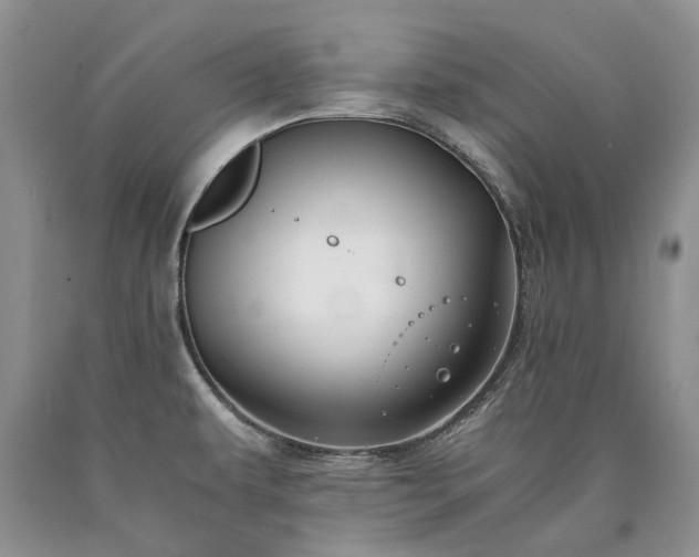 X0000090451479200707201304