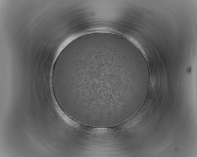X0000090451482200707201304