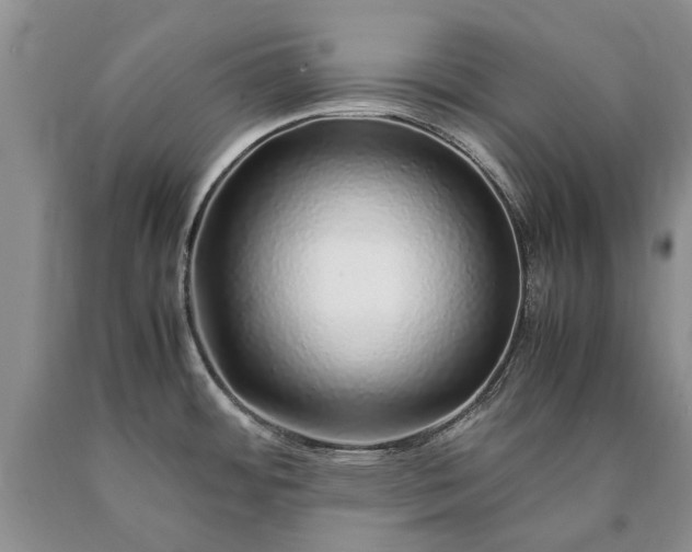 X0000090451484200707201304