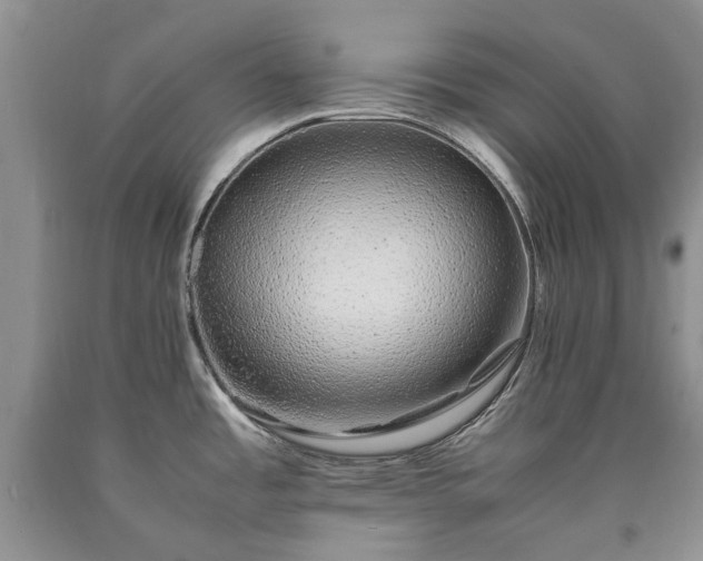 X0000090451485200707201304