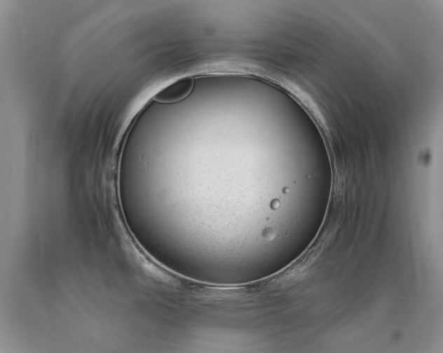 X0000090451486200707201304