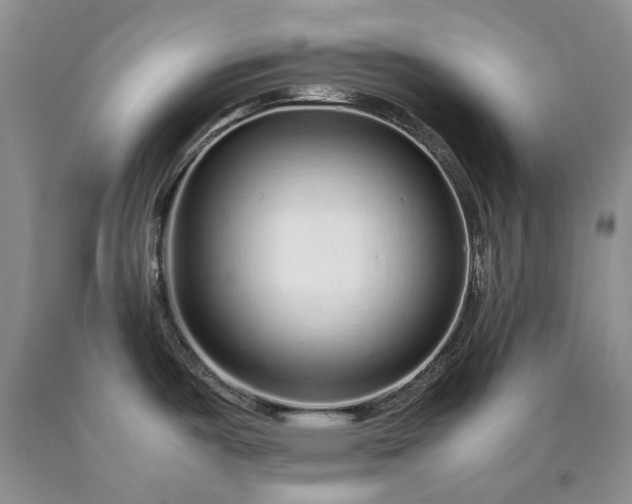 X0000090451487200707201303