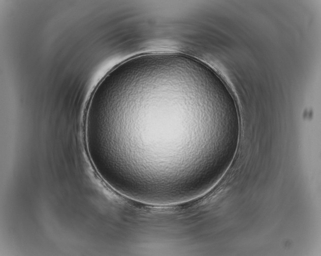 X0000090451488200707201303