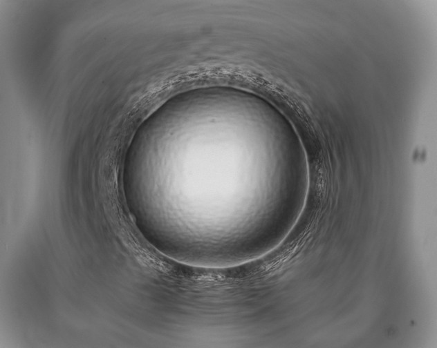 X0000090451489200707201303