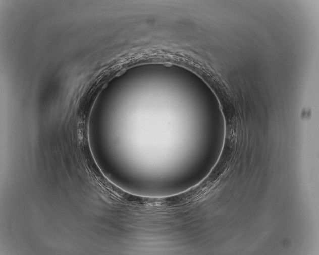 X0000090451490200707201303