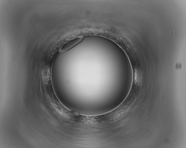 X0000090451492200707201303